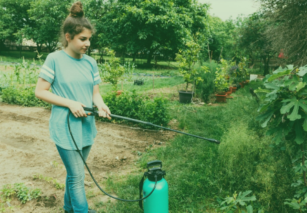 How to Spray in Your Garden for Effective Pest Control