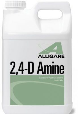 2,4-D Amine jug (2.5 gal) - simple