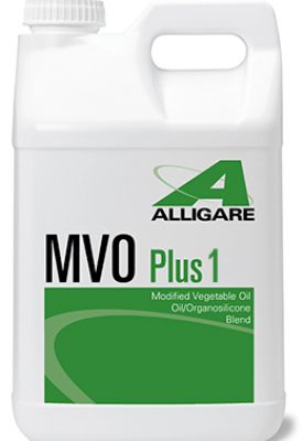 Alligare MVO Plus 1 2.5 gallons - simple