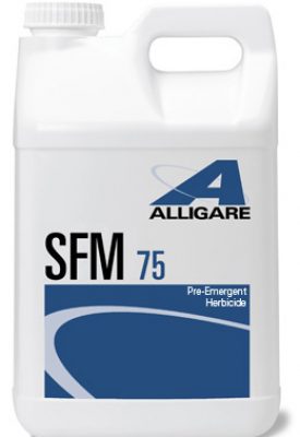 Alligare SFM 75 3 lb bottle - simple