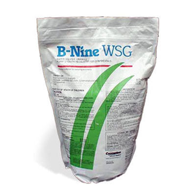 B-Nine WSG-1 lb Bag - simple