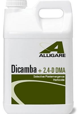 Dicamba Plus 2,4-D Herbicide -2.5 gallons