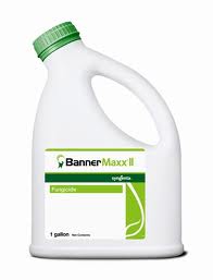 Banner Maxx II Fungicide-Gallon