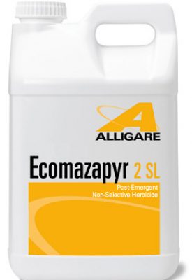 Ecomazapyr 2SL -Gallon - simple