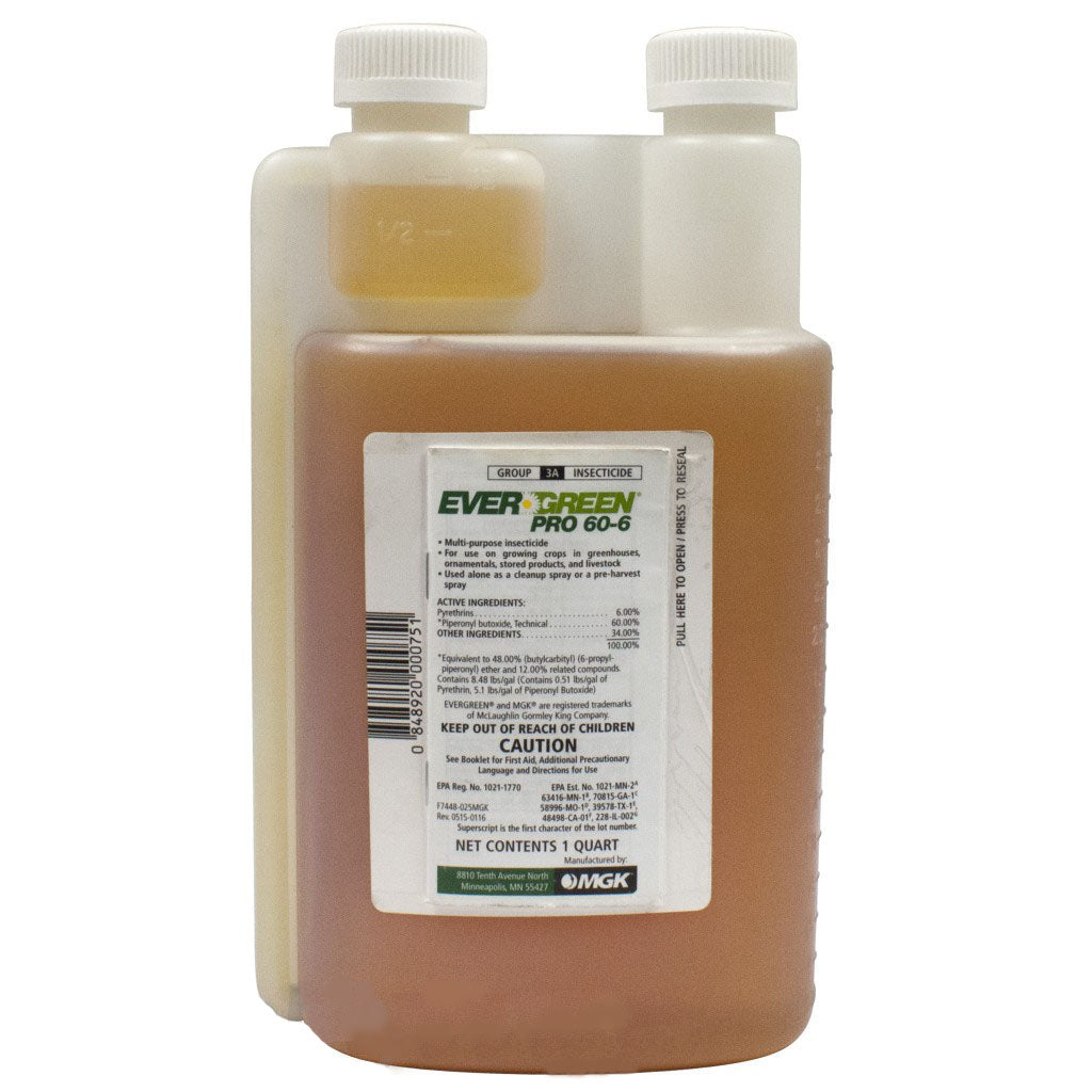 EverGreen Pro 60-6 quart (32 oz) - simple