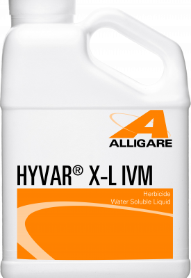 Hyvar X-L IVM