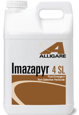 Imazapyr 4SL-2.5 gallons - simple