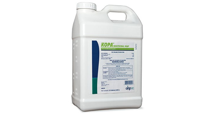 Kopa Insecticidal Soap 2.5 gal - simple