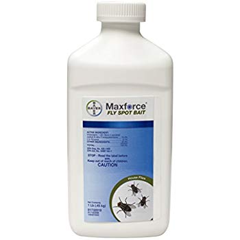 Maxforce Fly Spot Bait-16 oz bottle - simple