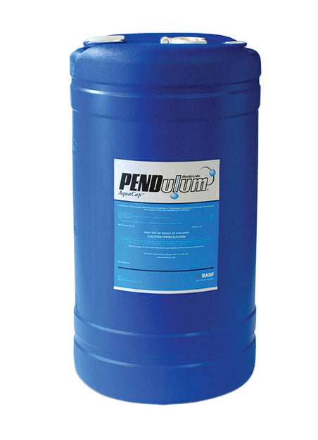 Pendulum Aquacap Herbicide drum (15 gal) - simple