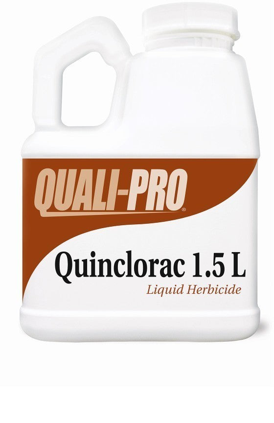 Quinclorac 1.5L - simple