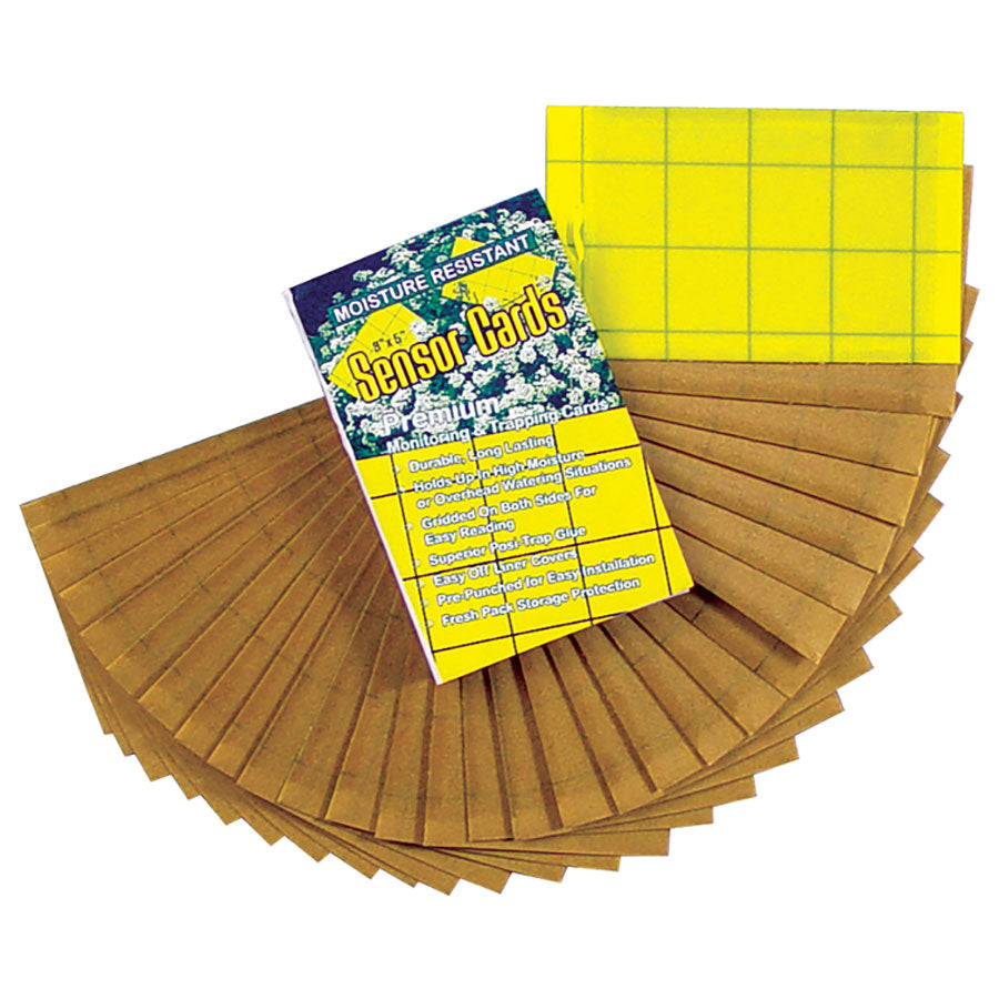 Whitmire  Sensor Yellow Monitoring Cards-Case (15 x 50 cards)