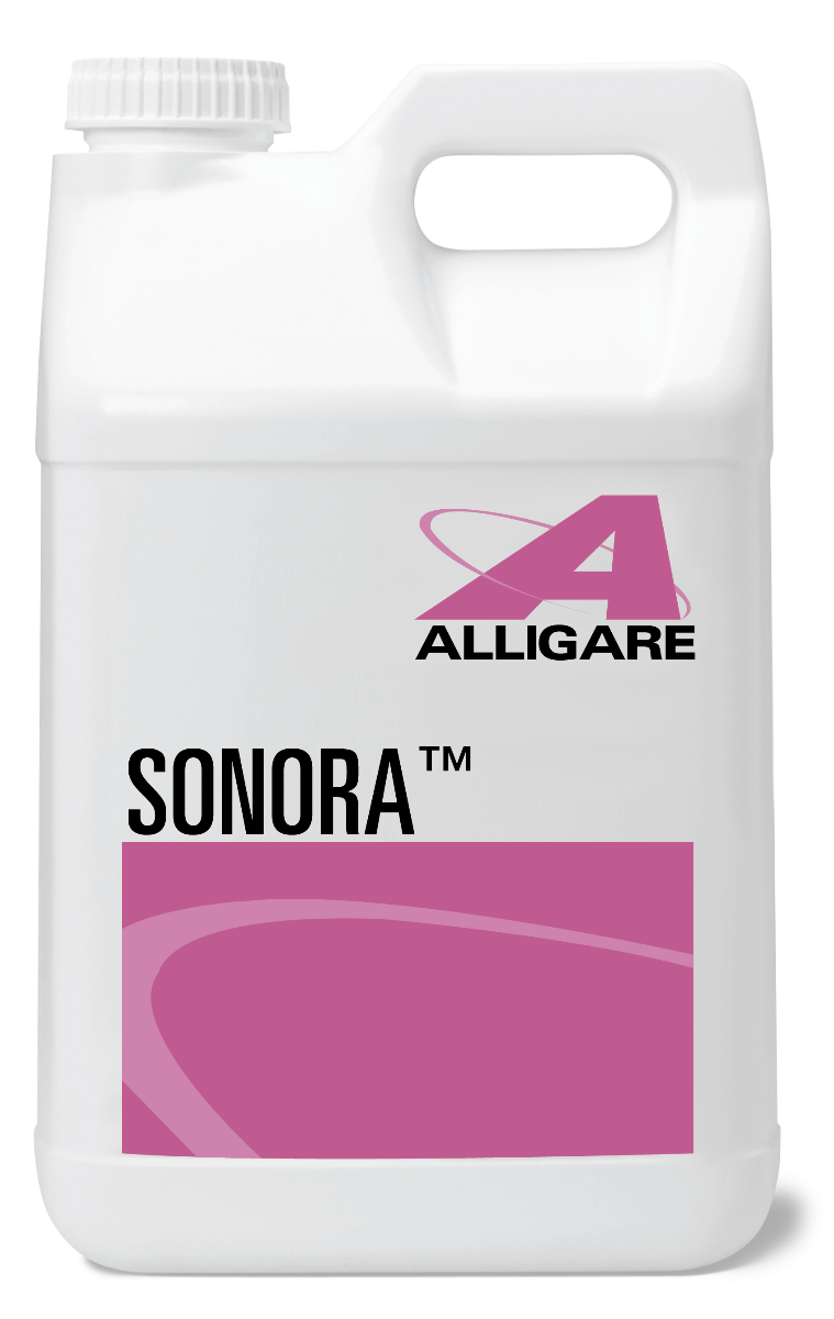 Sonora Herbicide-2.5 gallons - simple