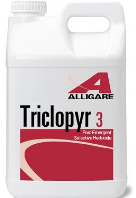 Triclopyr 3 (2.5 gallons) - simple